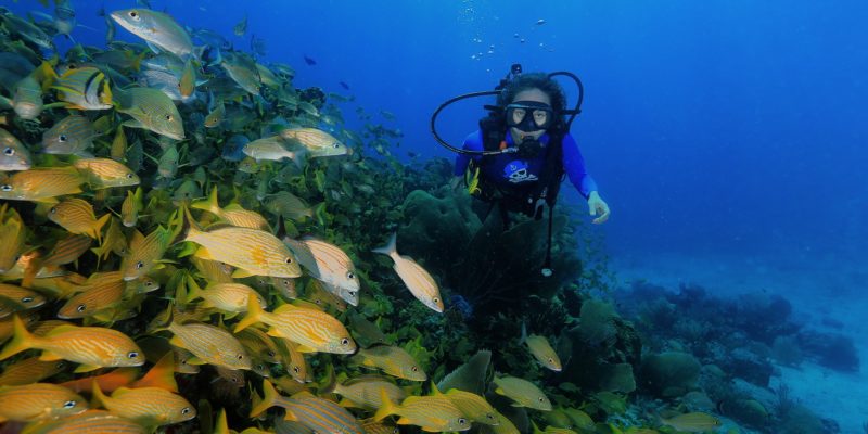 Merlin diving School in Sosua