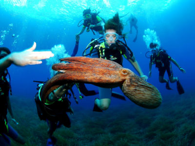 Acqua Center diving in Sosua