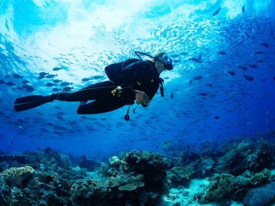 Dive Cabarete in Sosua Beach