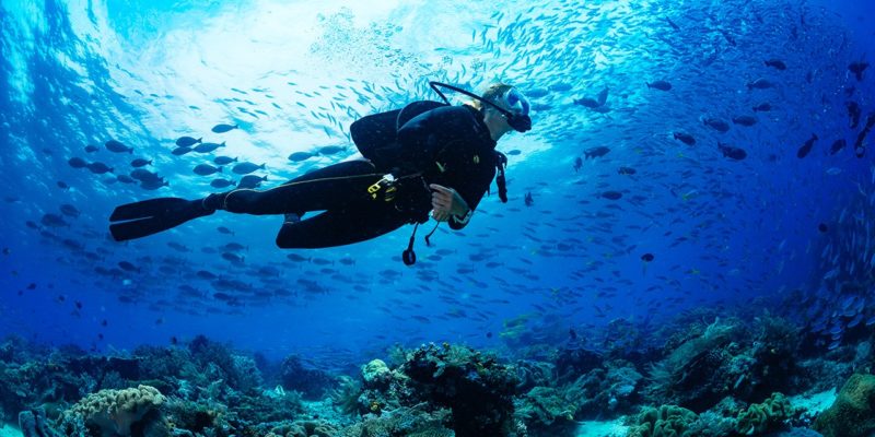 Dive Cabarete in Sosua Beach