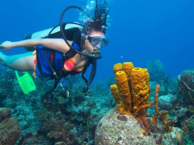 Diving adventures Sosua