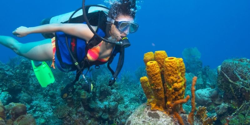 Diving adventures Sosua
