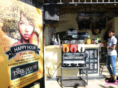 The bar at the Tree House in Sosua Beach