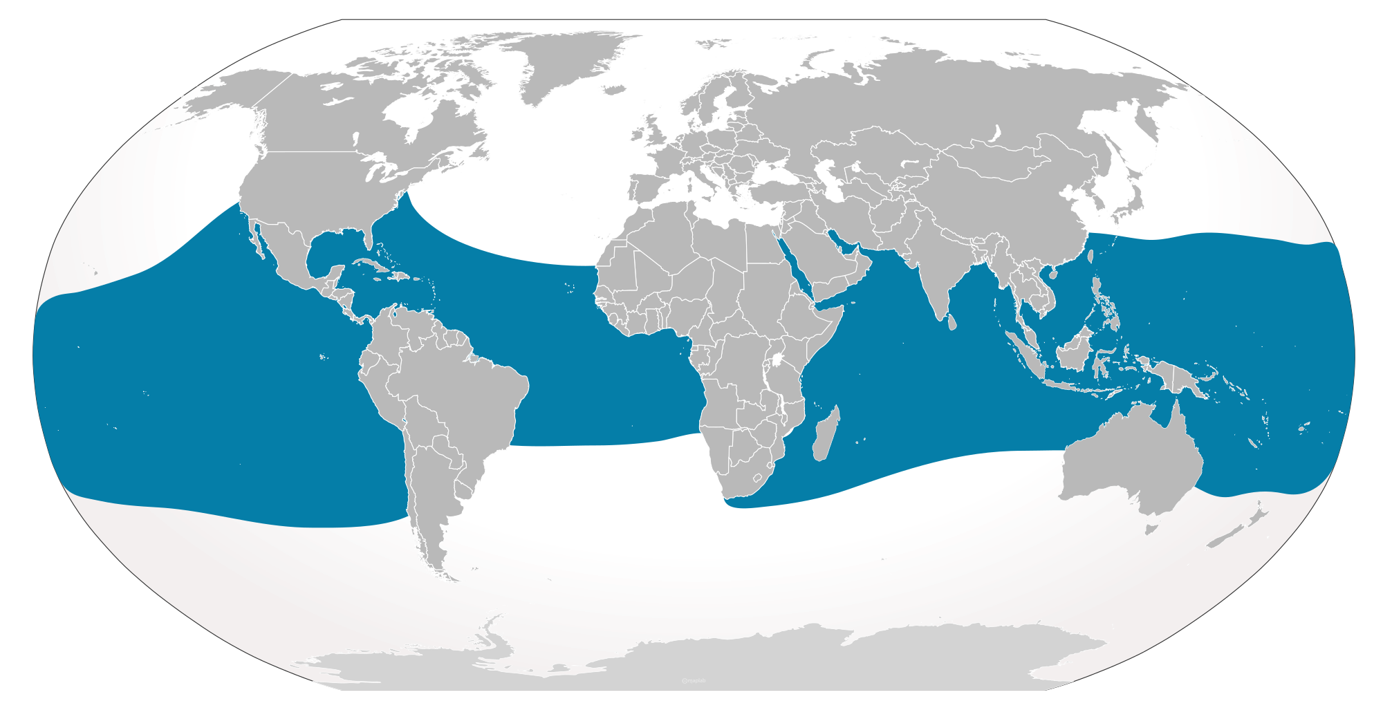 whale shark range map