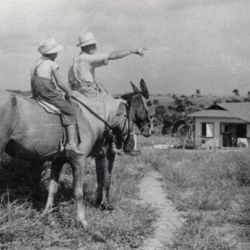 Settlers riding horses Settlers riding horses