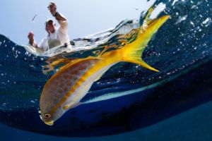 Fisherman hooking the fish